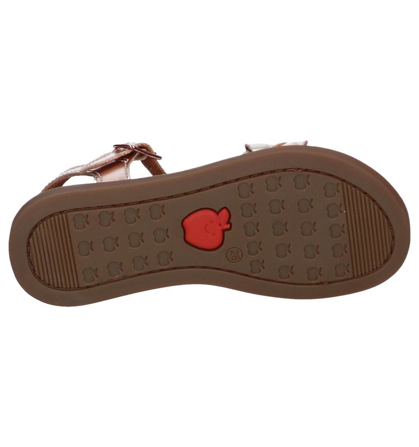 Bronzen Sandalen Shoo Pom Solar Wowo in kunstleer (247278)