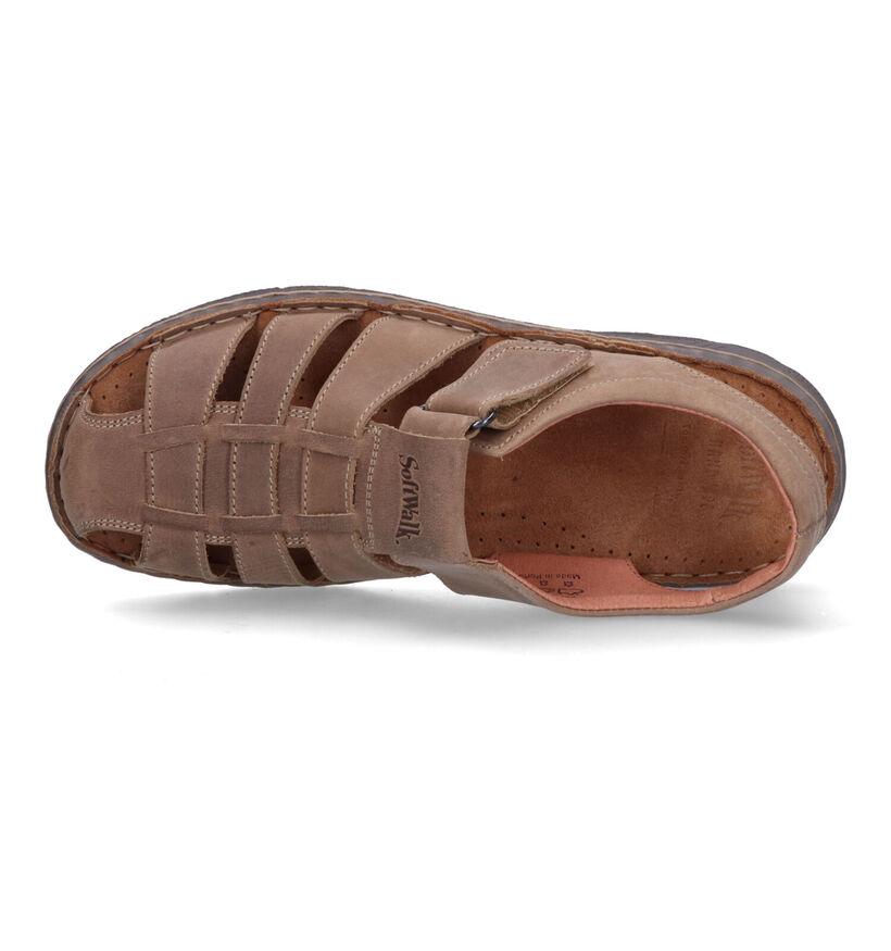 Softwalk Sandales en Taupe pour hommes (341941)