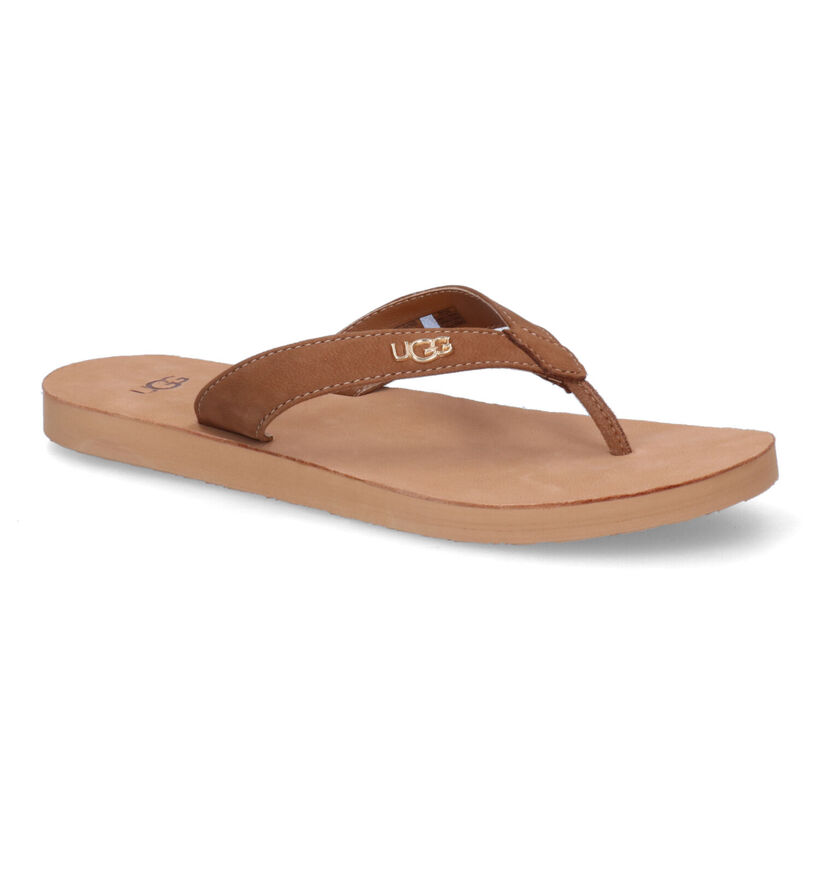 UGG Tawney Logo Cognac Teenslippers in nubuck (303418)