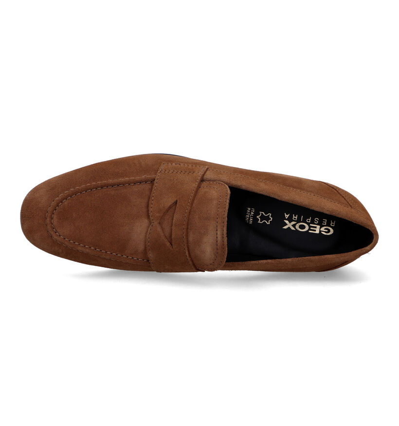 Geox Sapienza Chaussures à enfiler en Brun pour hommes (326744)