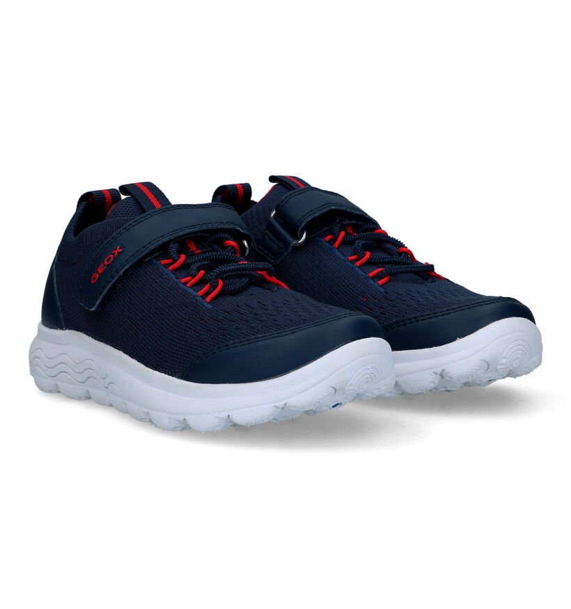 Geox Spherica Baskets en Bleu pour garçons (326618)