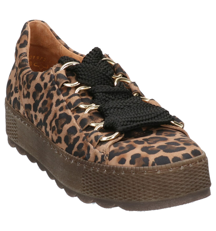Gabor Comfort Chaussures à lacets en Marron en daim (260097)