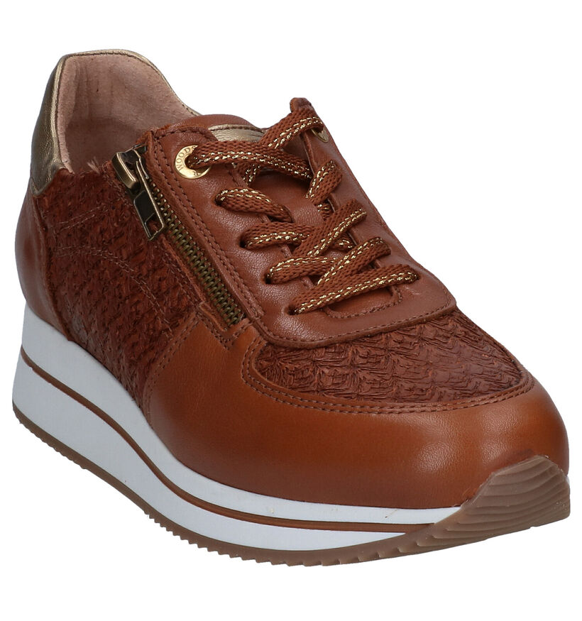River Woods Amara Cognac Veterschoenen in leer (298429)