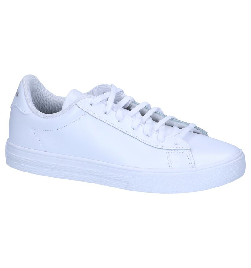 adidas Daily 2.0 Baskets en Blanc en cuir (237045)