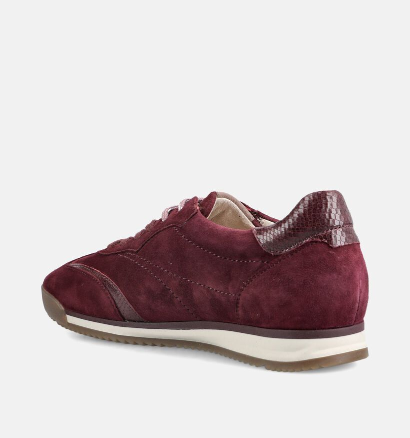 Gabor Bordeaux Sneakers voor dames (376992) - geschikt voor steunzolen