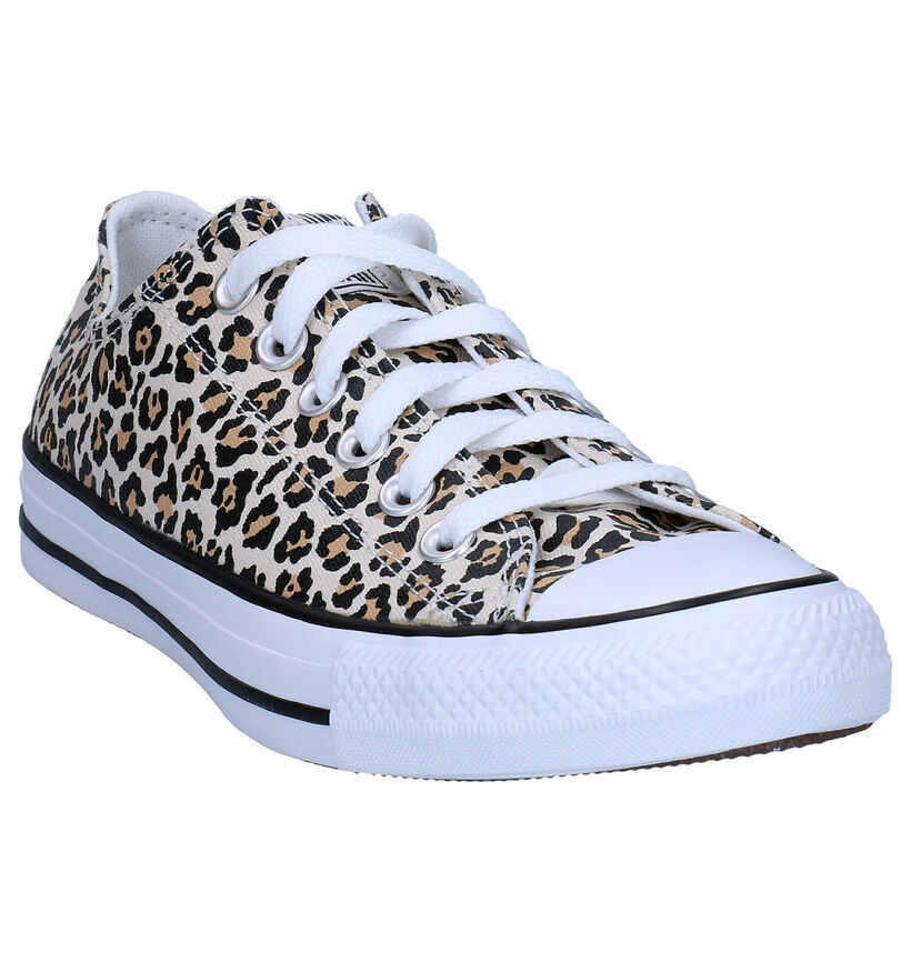 Converse Chuck Taylor AS Baskets en Beige en textile (287162)