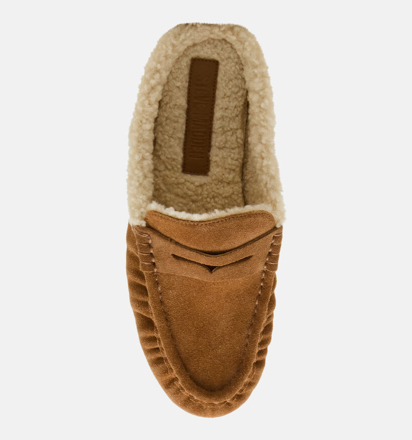 Steve Madden Rafe Loafers en Cognac pour femmes (378155)