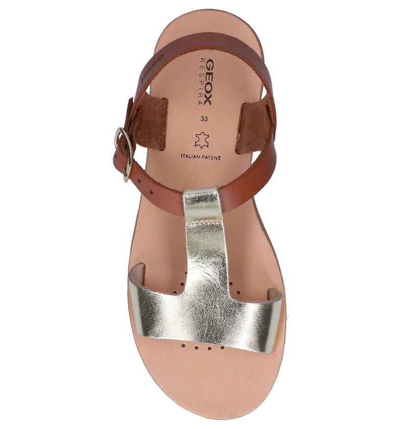 Cognac/Gouden Sandalen Geox in leer (244991)