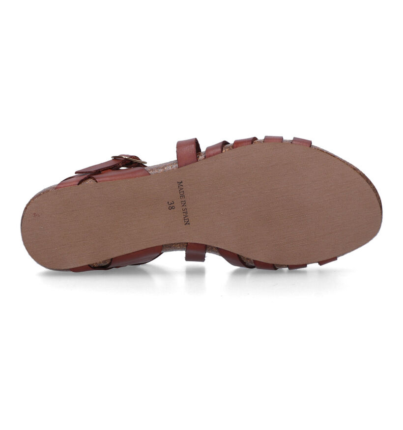 Signatur Cognac Sandalen voor dames (319778)