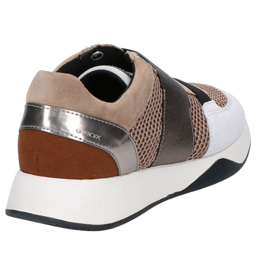 Geox Baskets basses en Beige en textile (255281)