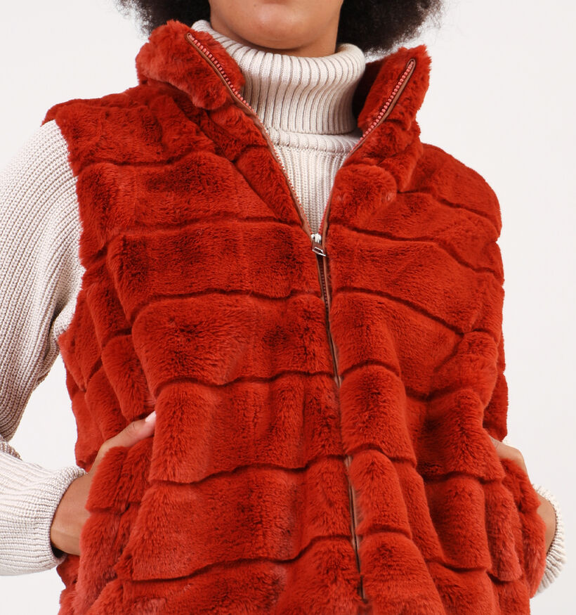 Dolce C. Zwarte Korte fluffy bodywarmer voor dames (358478)