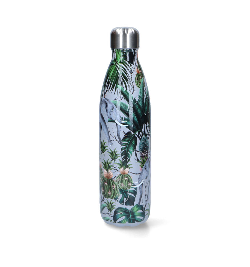 Chilly's x Tropical Elephant Gourde en Multi 750ml pour femmes (325738)