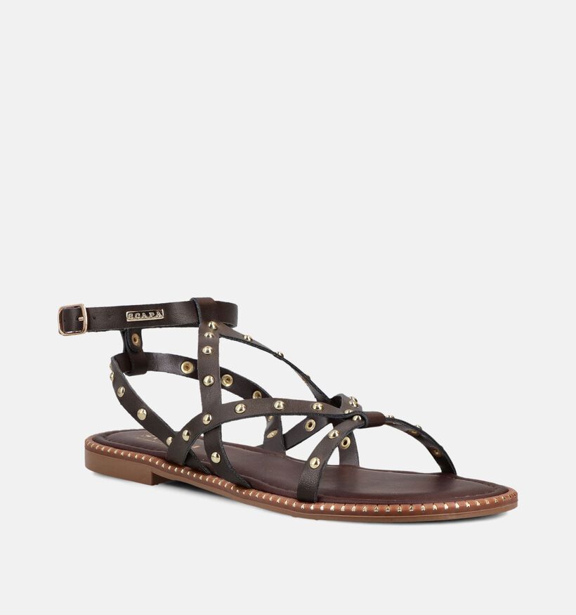 Scapa Sandales plates en Brun fonc&eacute; pour femmes (373296)