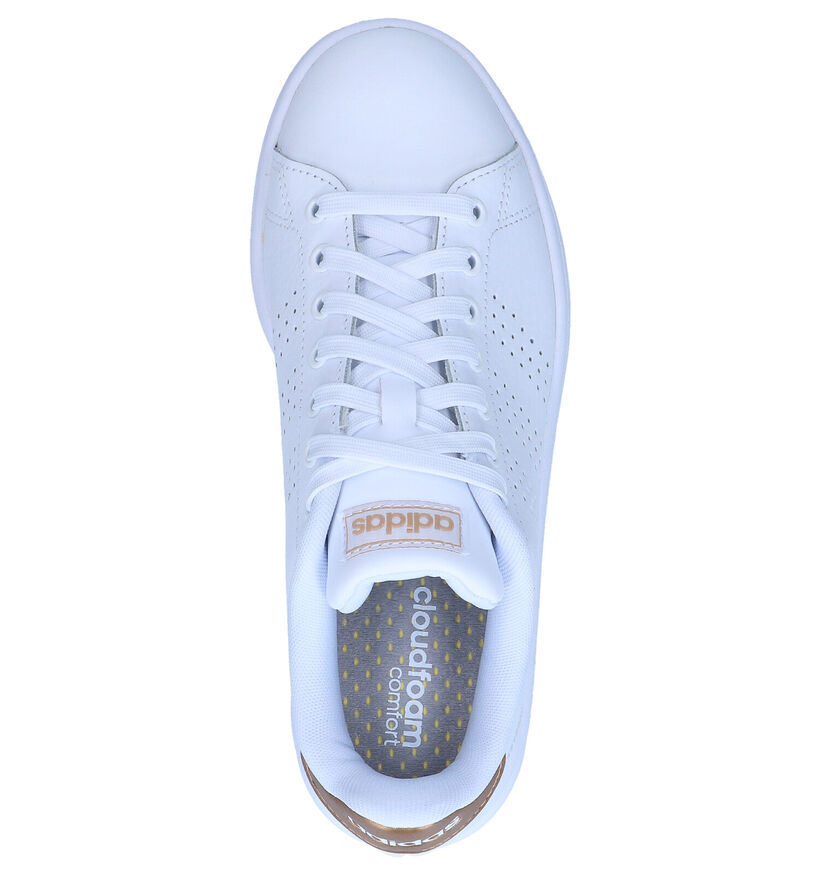 adidas Advantage Baskets en Blanc en cuir (284790)