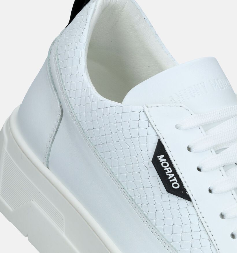 Antony Morato Chaussures à lacets en Blanc pour hommes (338457) - pour semelles orthopédiques