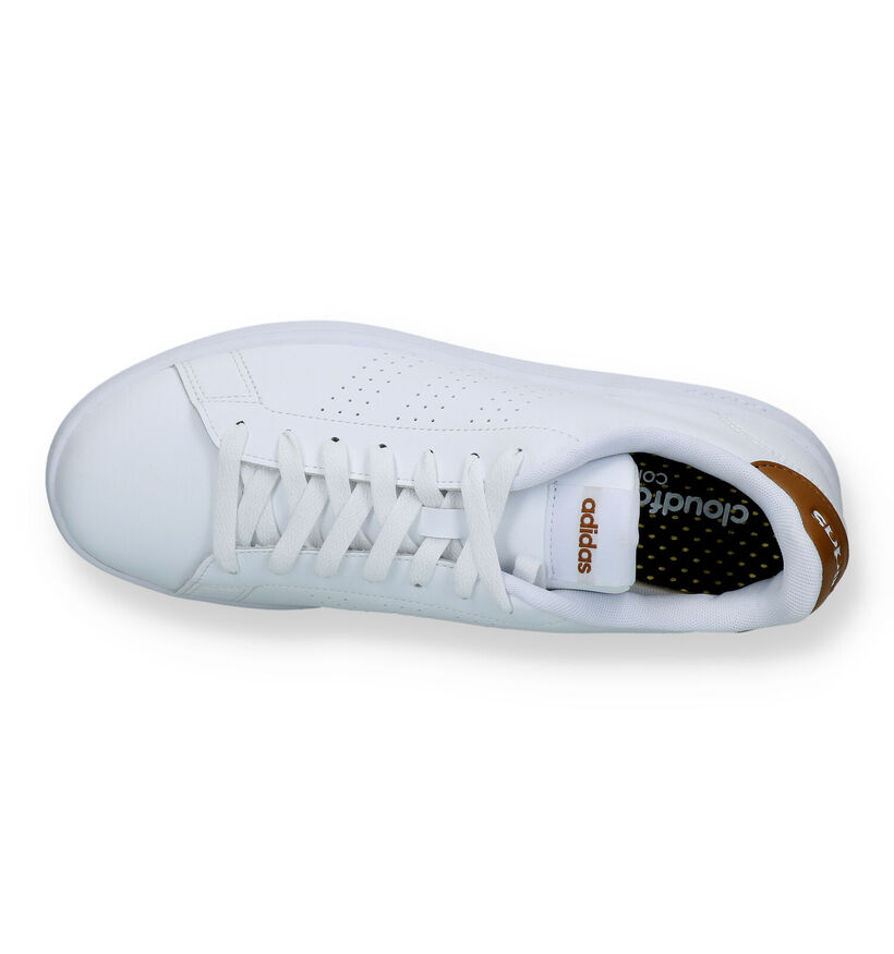 adidas Advantage Baskets en Blanc pour hommes (326322)