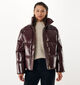 Mexx Boxy Puffer Manteau en Bordeaux pour femmes (362308)