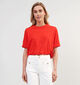 Vero Moda Penny Cropped T-shirt en Rouge pour femmes (358796)