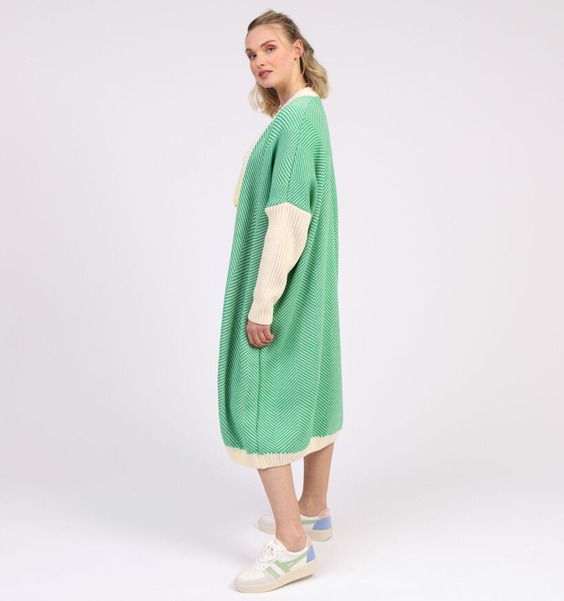 Dole C. Groene Cardigan (315033)