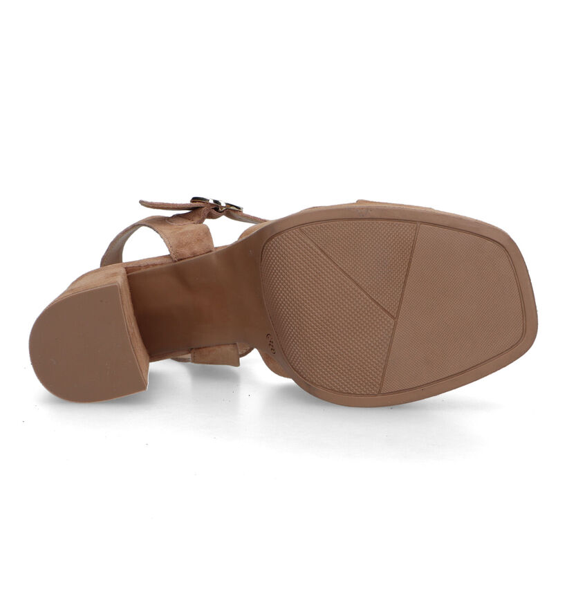 Signatur Beige Sandalen met blokhak voor dames (321704)