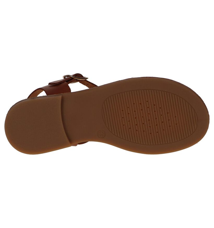 Geox Sandales en Cognac en cuir (244991)