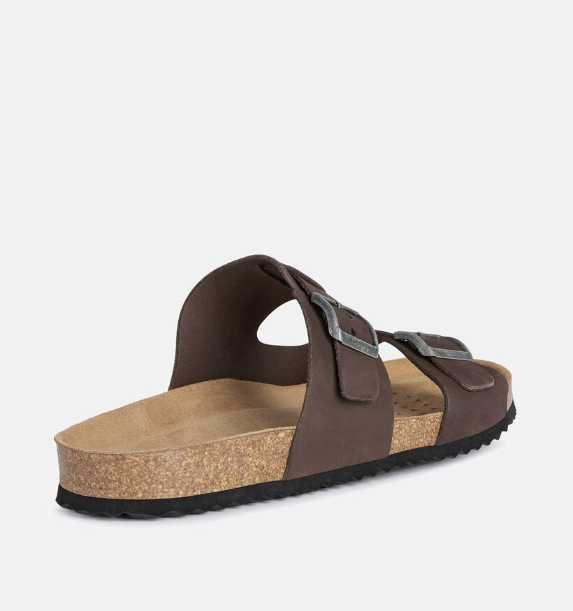 Geox Bruine Slippers voor heren (367992)