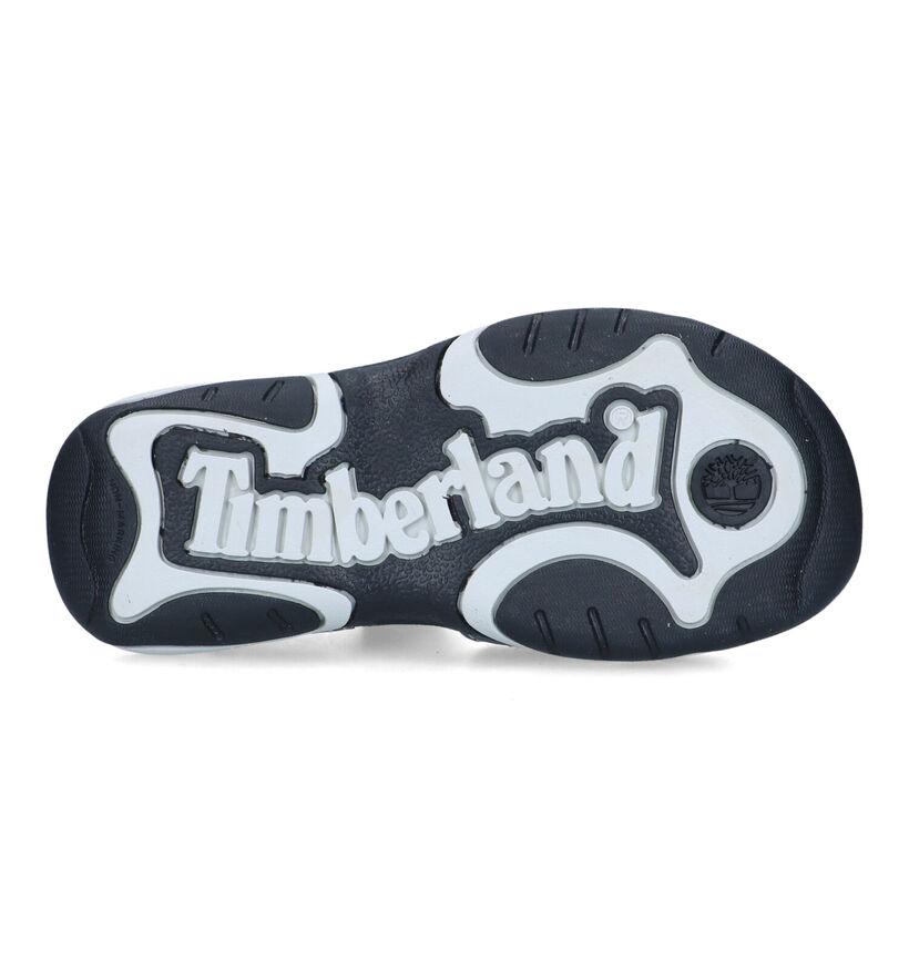 Timberland Advskr Grijze Sandalen voor jongens (320946)