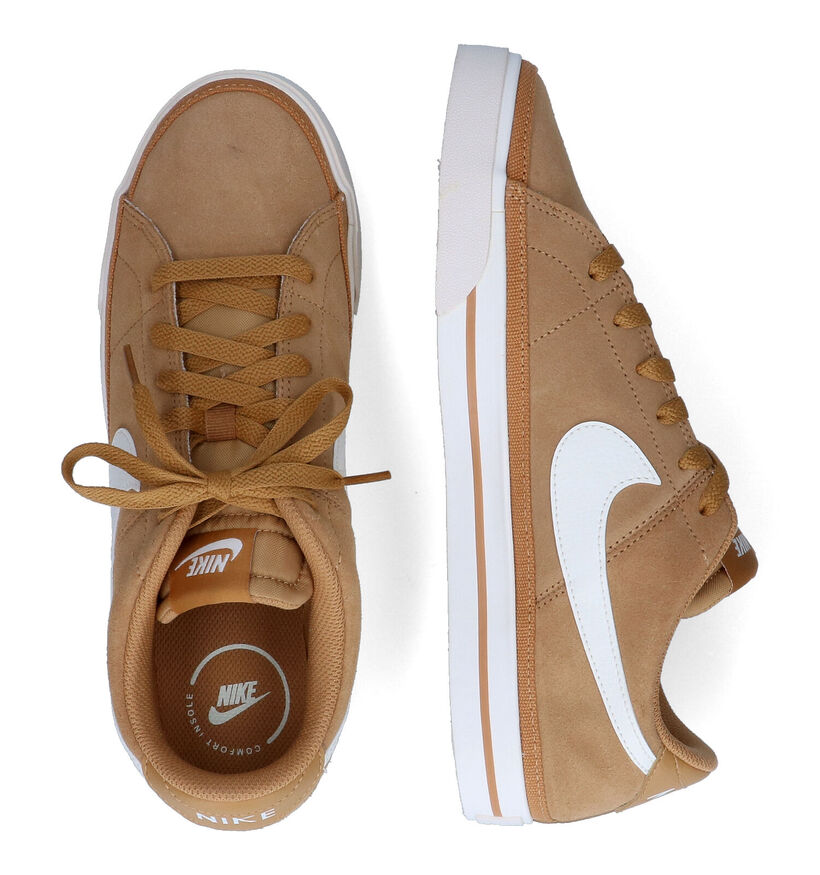 Nike Court Legacy Baskets en Camel pour hommes (316498)