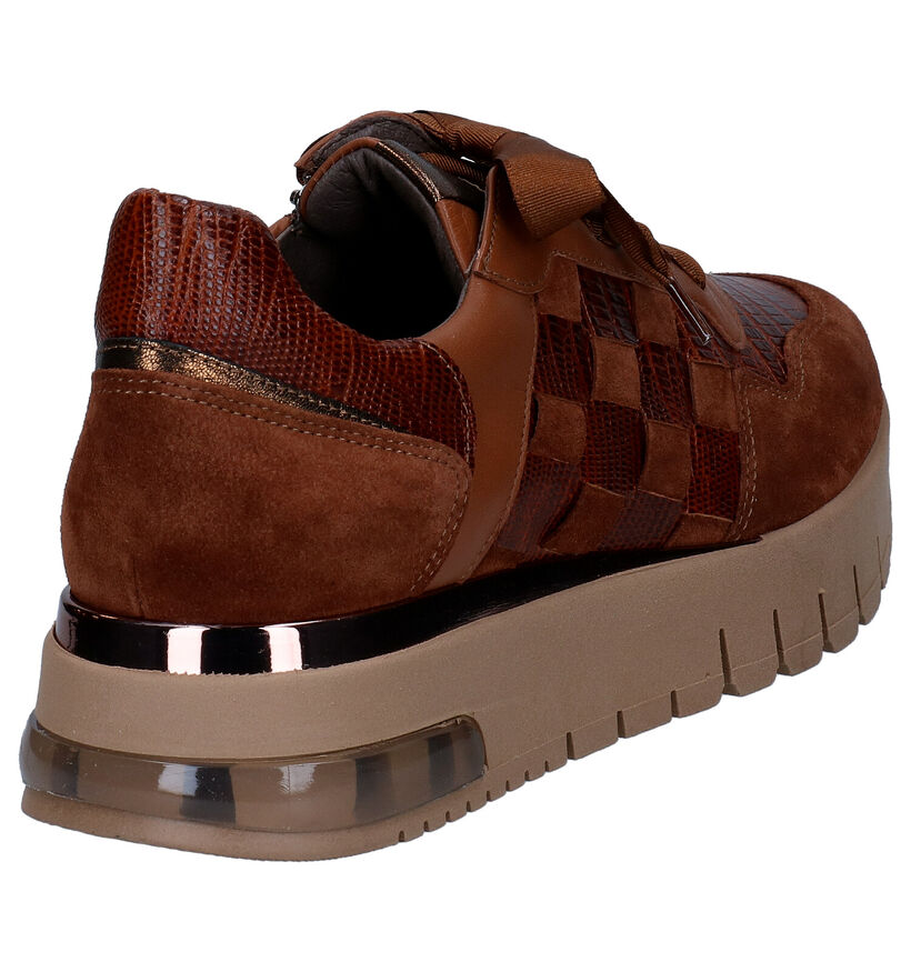Softwaves Baskets casual en Cognac en cuir (298123)