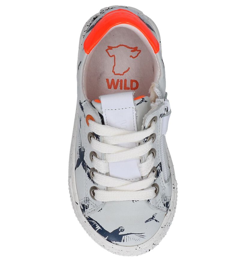Donkerblauwe Geklede Sneakers Wild in leer (245152)