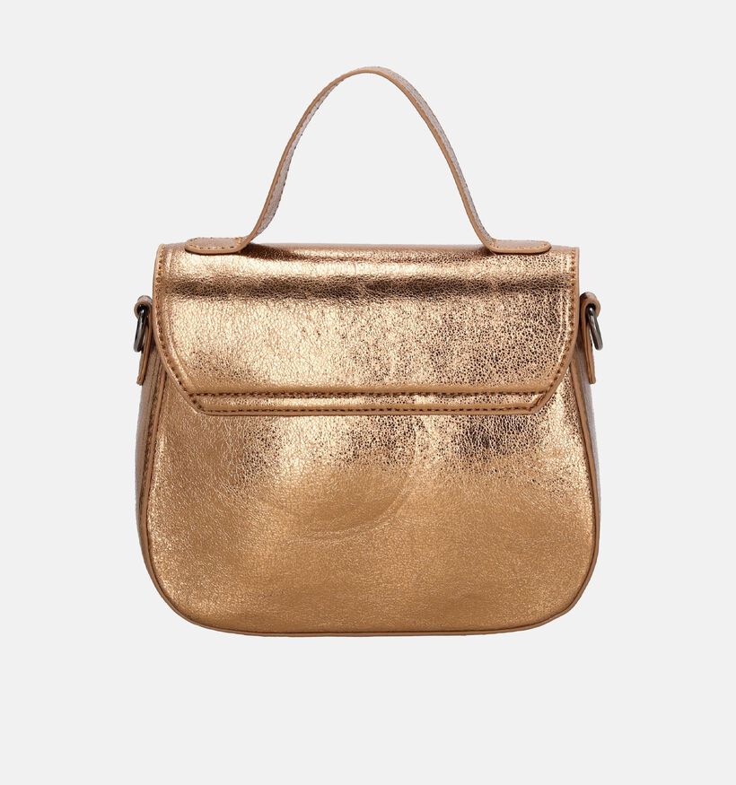 Charm London Sac à main en Bronze pour femmes (353609)