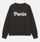 Vero Moda Curve Caisa Donkerbruine Paris Sweater voor dames (382209)
