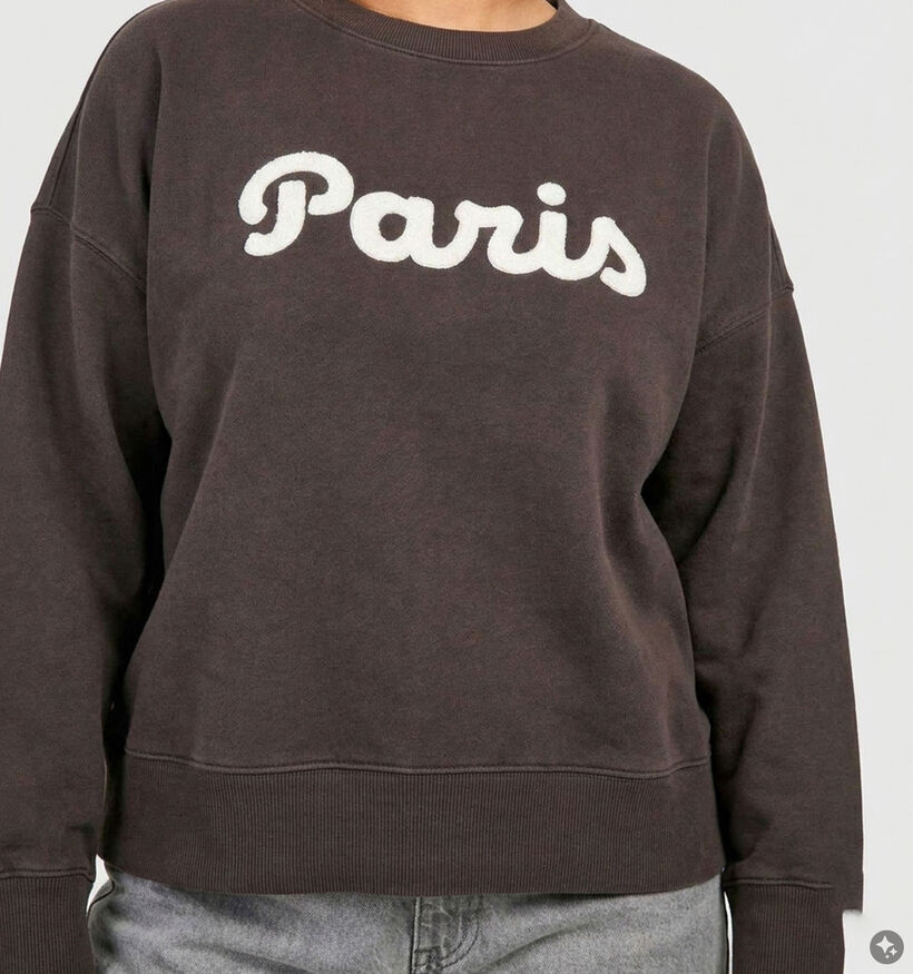 Vero Moda Curve Caisa Donkerbruine Paris Sweater voor dames (382209)
