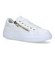 Tommy Hilfiger Baskets basses en Blanc pour filles (321581) - pour semelles orthopédiques