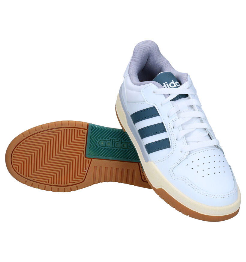 adidas Entrap Baskets en Blanc en cuir (276466)