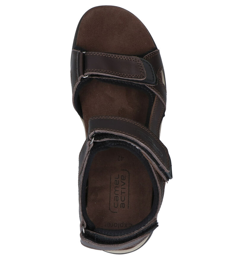 Camel Active Sandales en Brun foncé en cuir (271304)