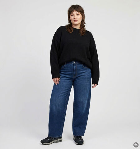 ONLY Carmakoma Jeans Blauw