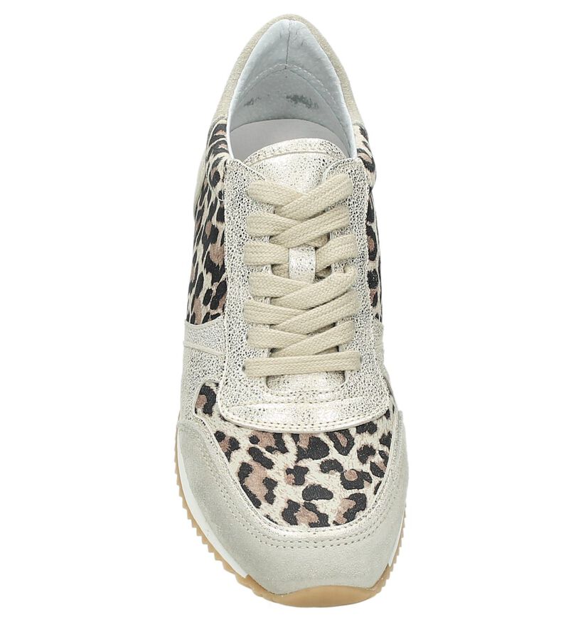 Sneaker Goud Hip met Luipaardprint, , pdp