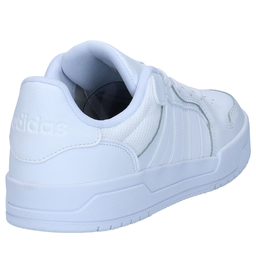 adidas Entrap Baskets en Blanc en cuir (276466)