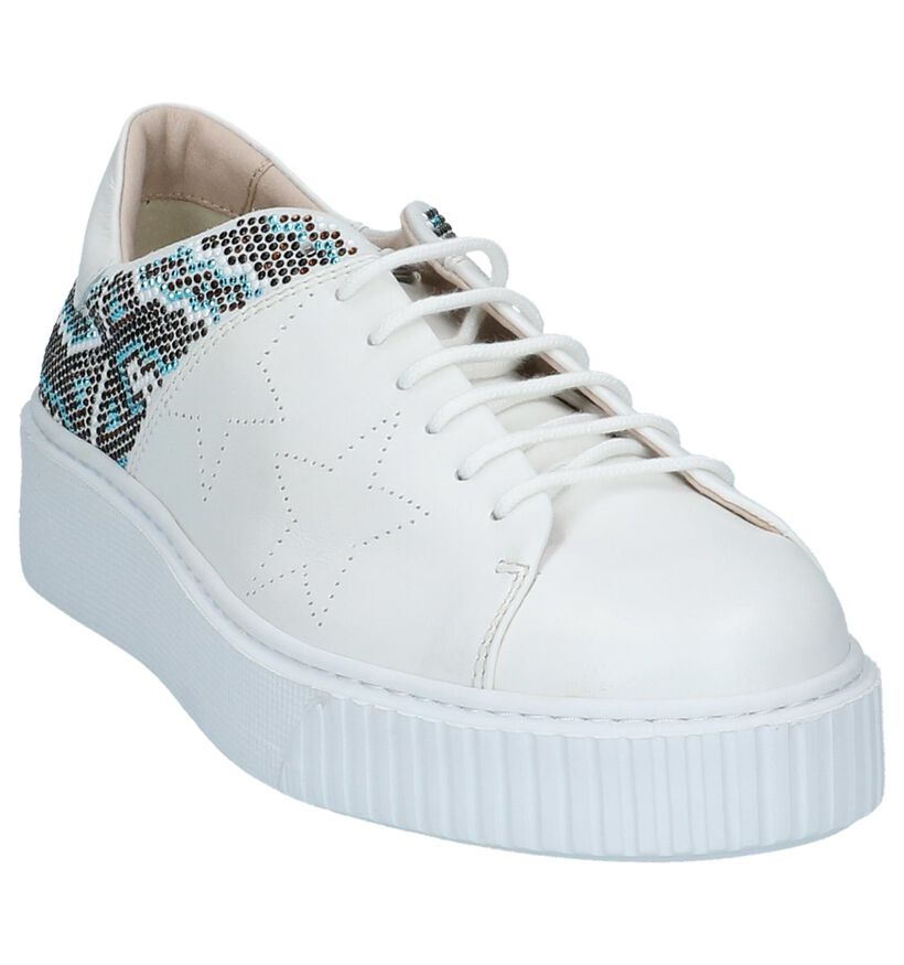 Tosca Blu Witte Sneakers met Dikke Zolen in leer (214136)