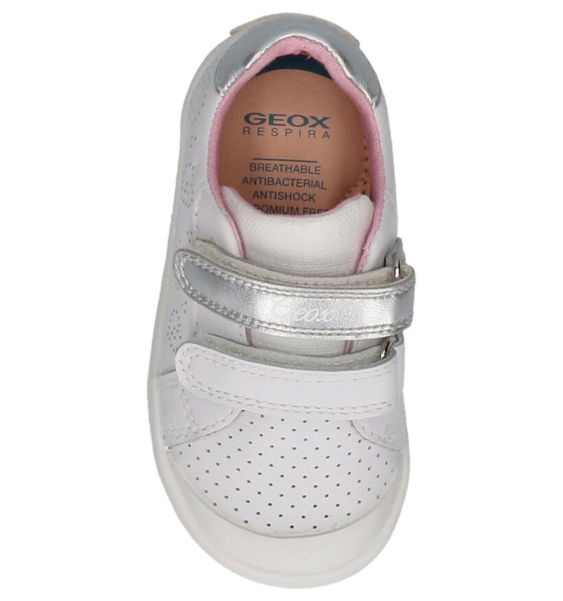 Geox Chaussures pour bébé  en Blanc en textile (210516)