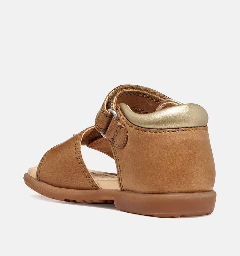 Geox Verred Sandales pour b&eacute;b&eacute; en Camel pour filles (368872)