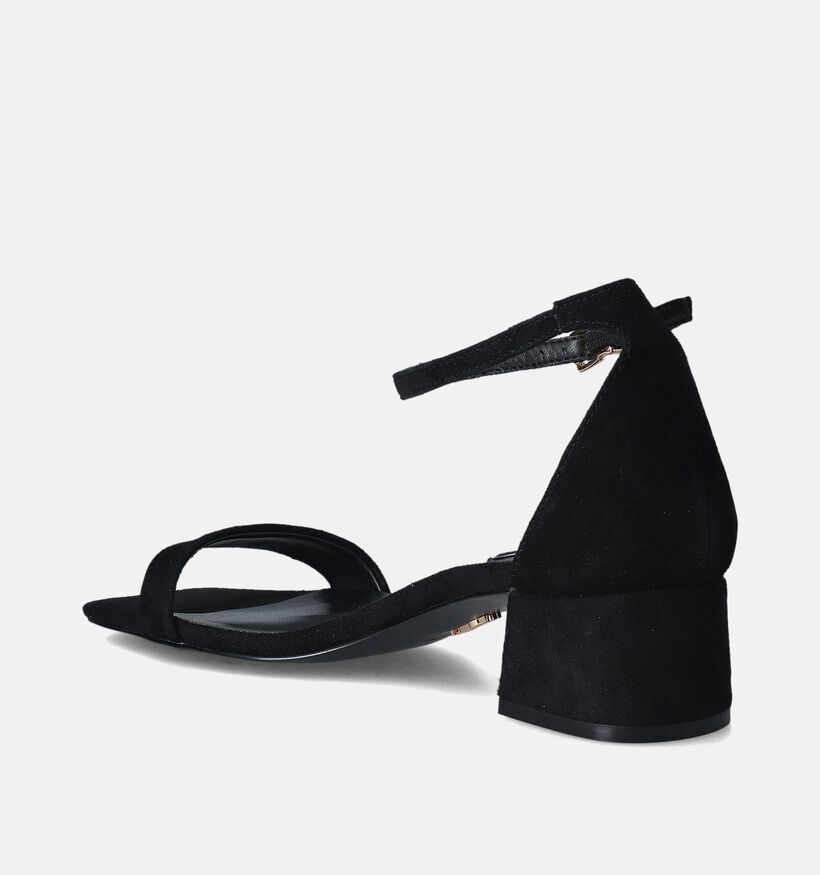 Steve Madden Gena Zwarte Sandalen met blokhak voor dames (353589)