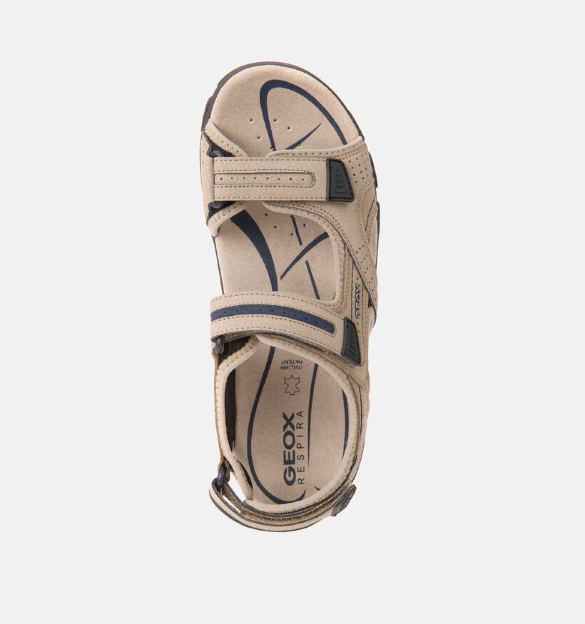 Geox Sandales en Marron pour hommes (368001)