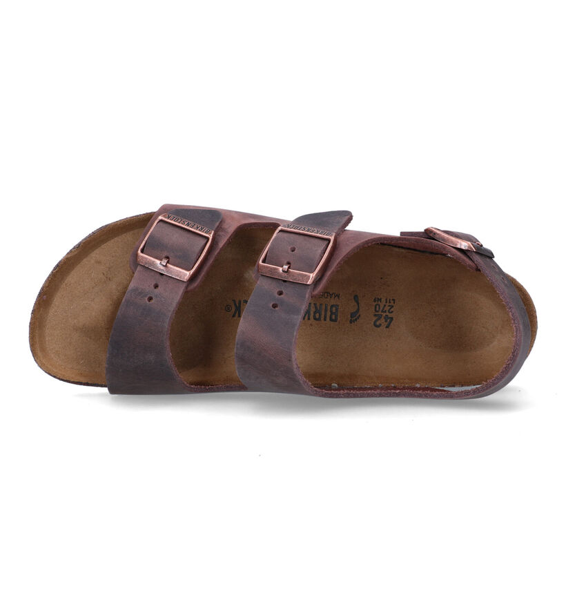 Birkenstock Milano Sandales en Marron pour hommes (351144)