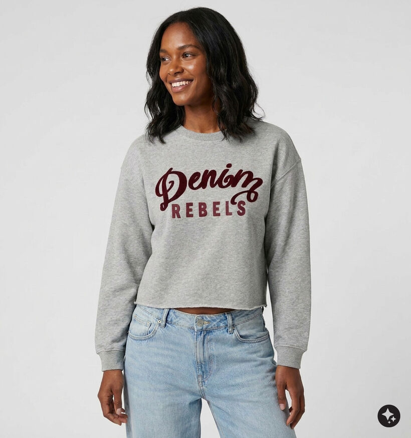 The Shirt Project Denim Rebels Grijze Sweater voor dames (381896)