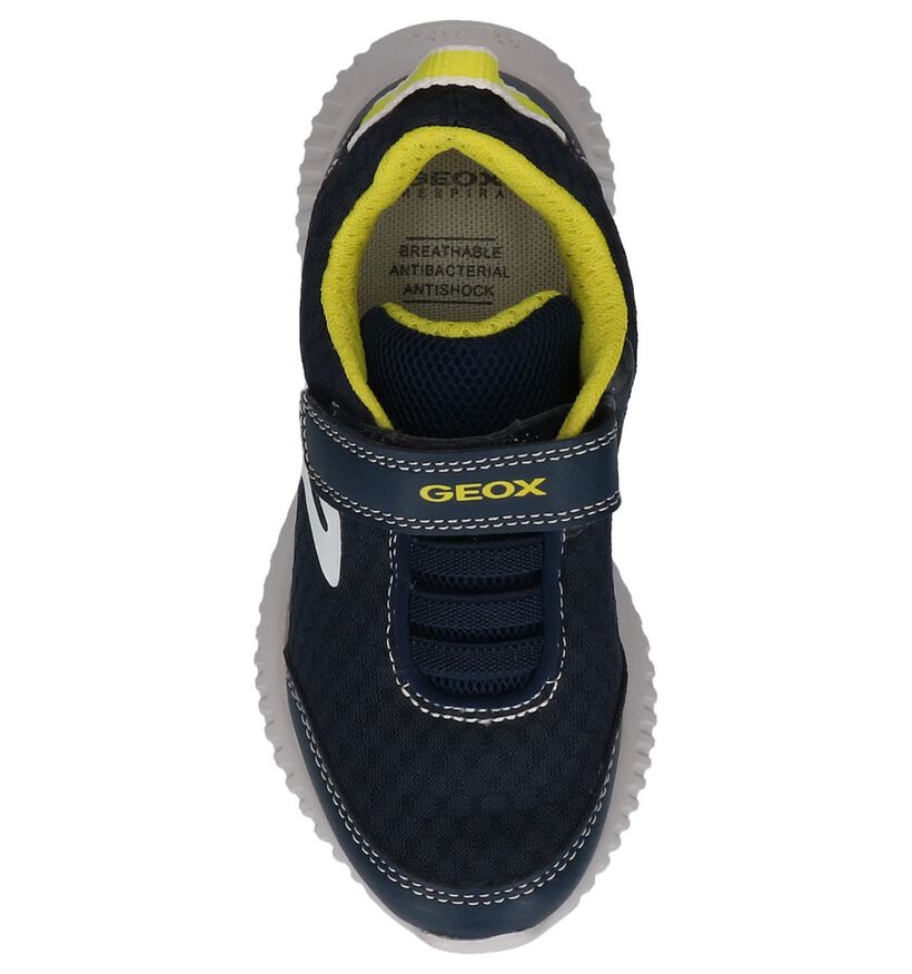 Geox Baskets basses en Bleu foncé en textile (210534)