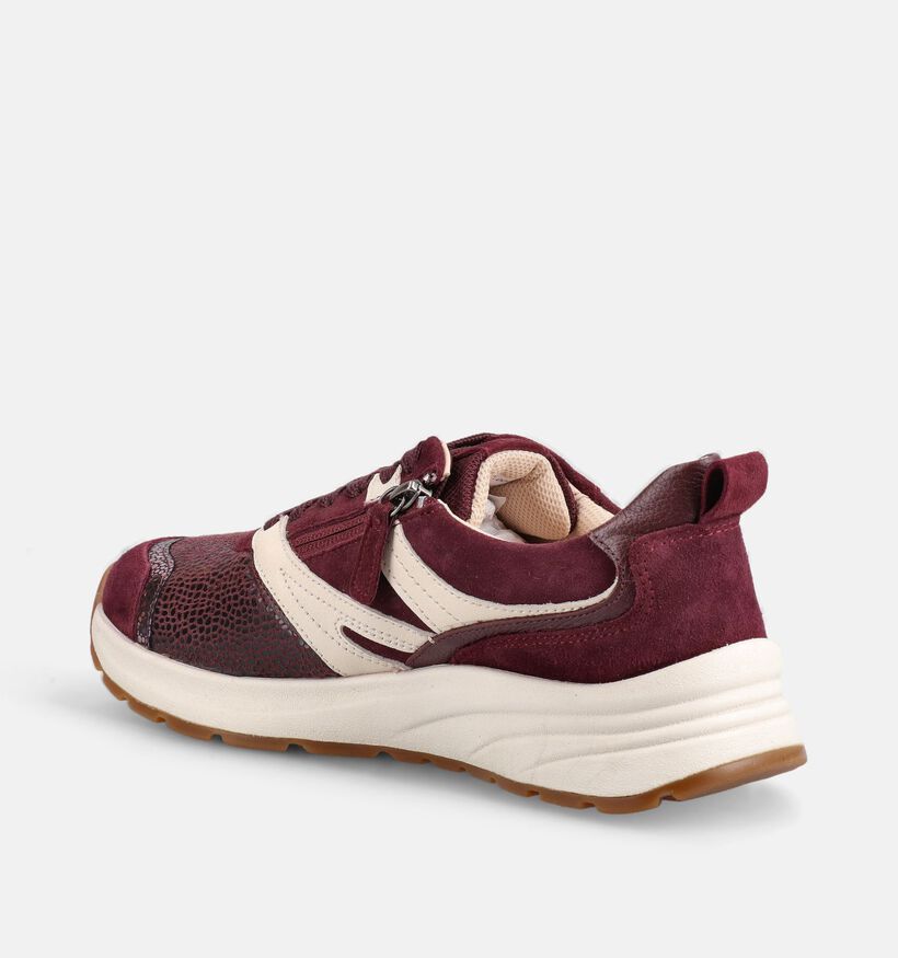 Gabor Comfort Bordeaux Sneakers voor dames (376979) - geschikt voor steunzolen