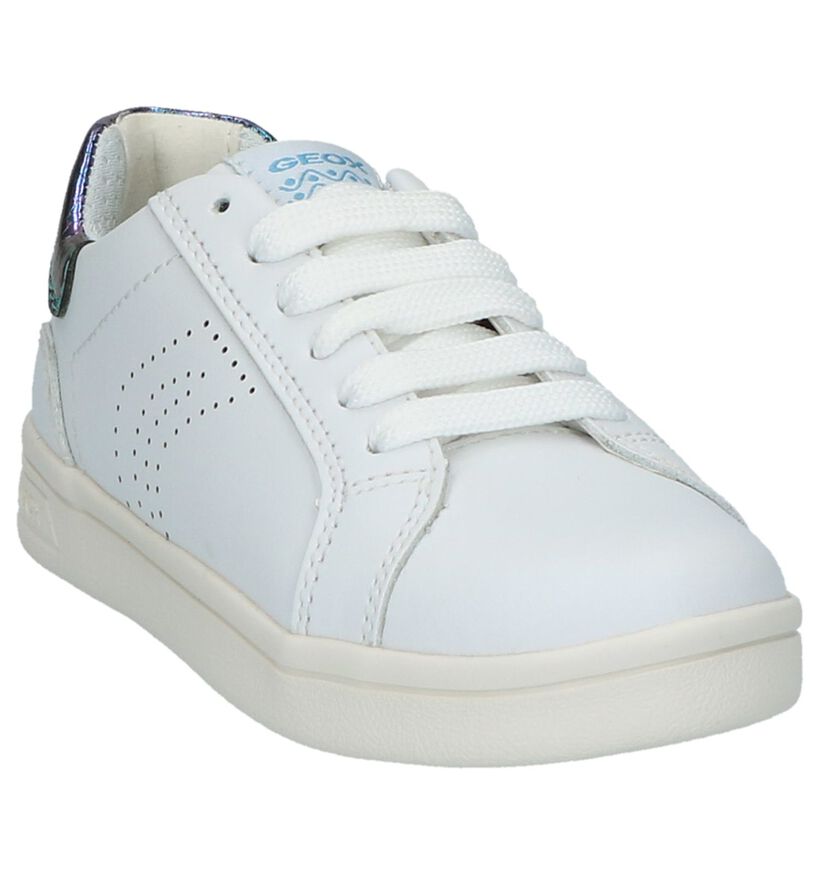 Geox Baskets basses en Blanc en cuir (210486)