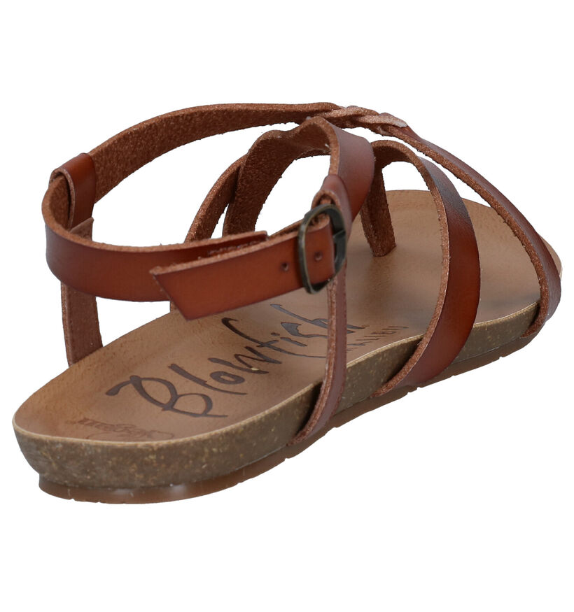 Blowfish Malibu Granola Vegan Zwarte Sandalen in kunstleer (288916)